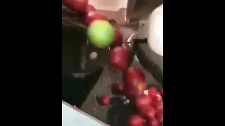 Foodtech - Sorting of Tomatoes using Computer Vision & Machine Learning Algorithms