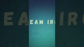 STEAM Iron (Imported from America)