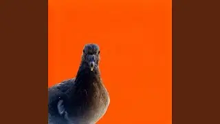 prylkr&auml;&auml;m