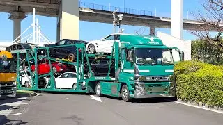 キャリアカー街路樹が邪魔してバイクが止まって曲がれない大型トレーラー積載車 トラック 大黒 TRANSPORT CARRIER Truck Car Carrier Daikoku in Japan
