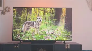 This 4K TV costs only $300 I FPD 55 inch Canvas Series Smart TV Unboxing I Review