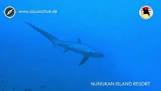 Extra Divers & Aqua Active Agency - Nabucco Nunukan Island Resort
