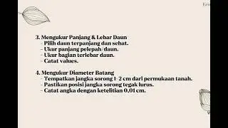 Laprak fisiologi tumbuhan || Pengamatan pertumbuhan bibit kelapa sawit 