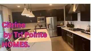 Citrine by Tri Pointe HOMES in  The Nortwest. New Build Homes in Las Vegas!