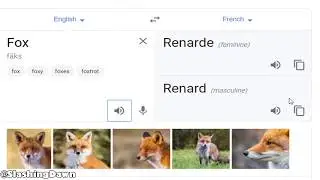 French Fox Meme