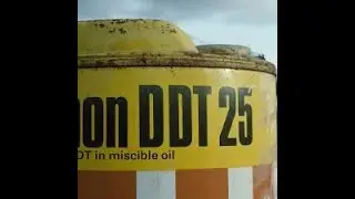DDT: -Ways /Roads -(ENG: wired BEST rocky -remastered) -ДДТ -Дороги  #cover #song #spiritual #rock