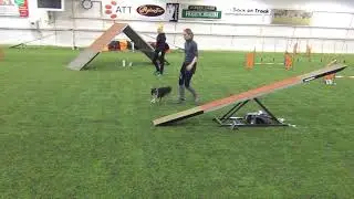 Vekara Agility , Sheltti , Dharma , avo , S
