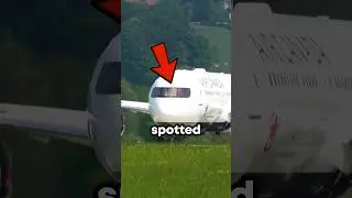 Pilot Spots OWL On Taxiway 🦉✈️
