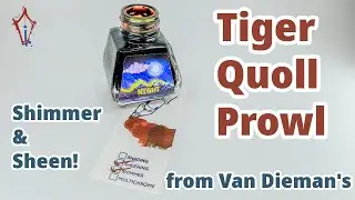 Van Dieman's Tiger Quoll is a lil critter with a big bite!