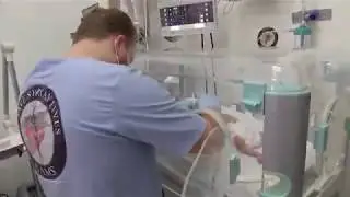 Inside an Idlib maternity ward  Doctors at the hospital face a daily struggle to care for expectant