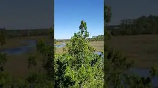 the adventures of David and David: climbing the observation tower!