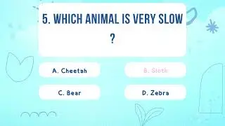Archie Quiz Club Ch EP.73 Zoo Animal Part2