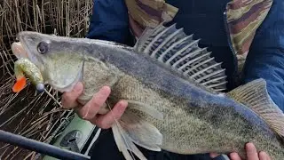 Fishing 2022. Kalastus 2022. Рыбалка 2022. #fishing #youtube #fish #recommended