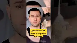 Дозволено Ли в Исламе устранять Грызунов? #shotrs