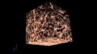 micro-CT imaging and analysis of lung tissue