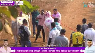 भगवान शेठ चांचे यांचा घरचा साज रामा आणि   बिनजोड चा मानकरी