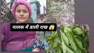 आज मैने पालक में डाली राख और गोभी भी खाने के लिए तैयार हो गई है 😱😂#subscribe #archupahadivlog 