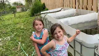 Keeping aquarium fish outside