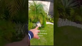 #garden #landscapingdesign #garden #plants #3d #design 0321.9471523 #gardendesign