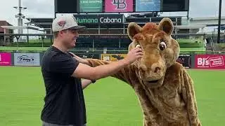 MILB HORSE RACE