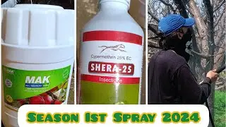 Season Ist Spray 2024🍎Max HMO and Cypermethrin 25%EC insecticide🐝🐝
