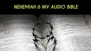 NEHEMIAH&nbsp;6 NIV AUDIO BIBLE
