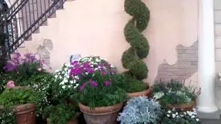 What is a Topiary? Answered