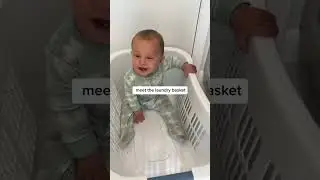 Need a babysitter?