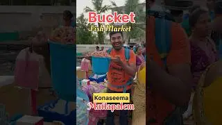 Matlapalem -Bucket Fish Market            #shorts #jakstocktravel