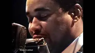 Juke Boy Bonner - 'Going Back To The Country' live [Colourised] 1969