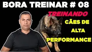 BORA TREINAR #08 - TREINO DE ALTA PERFORMANCE PARA CÃES
