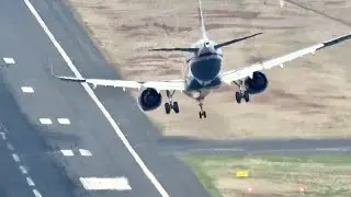 Pilot Applies Full Nose Down Inputs