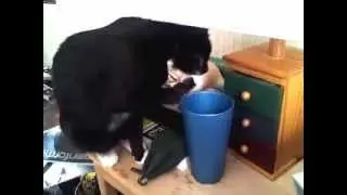 Why my drink tastes funny.