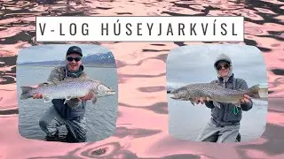 V-log úr Húseyjarkvísl vorið 2021
