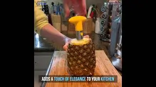 Stainless Steel Pineapple Slicing Knife
