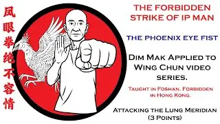 Hun Yuan Video Series: Dim Mak Applied to Wing Chun- Video 1: Attacking the Lung Meridian (3 Points)