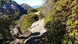 Chapman trail, Mt. Baldy