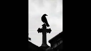 (FREE) CROW TRAP BEAT - PROD BY BLUEROOMBEATS