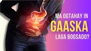 gaas calooleedka soomaalida wareeriyay oo aan si qoto dheer u sharxaayo