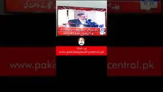 Chief Justice of Pakistan-Poultry is Safe to consume.
