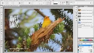 InDesign CS6 - PDF Interativo (Parte 1)