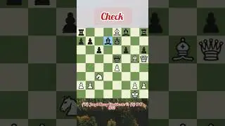 Center Game - Danish Gambit - 24 moves Checkmate 🔥🔥🔥