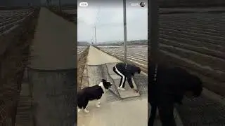 आख़िर में जो हुआ वो अलग ही था l