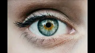 First human clinical trials involving a bionic eye set to begin