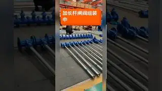 Valve video 14---Michael Xue---HYS COMMERCE   Extension Stem Gate Valve