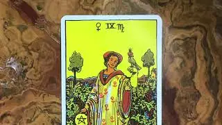 Nine of Pentacles Tarot Card Nine of Coins