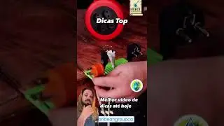 dicas de como arumar ferramentas em casa