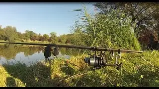 **carpe run compilation 2016** carpfishing delkim run #2