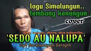 Lagu Simalungun || SEDO AU NALUPA' || cipt :TARALAMSYAH SARAGIH || cover : ADAN NAINGGOLAN 