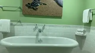 Bathtub Filling ASMR // Turtle Tub Filling on Full Pressure 8 Hour Loop